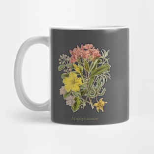 Apocynaceae Mug